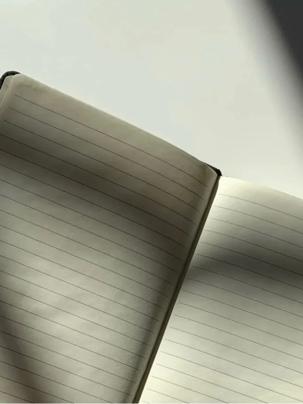 Marcella Journal